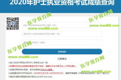中国卫生人才网2020成绩查询,2020年中国卫生人才网考试成绩查询概览